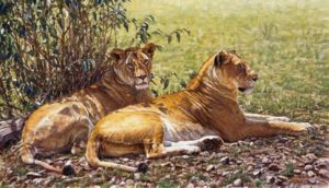 John Banovich: King of Beasts Note Cards