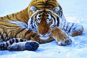 John Banovich: Tigers in the Snow Note Cards