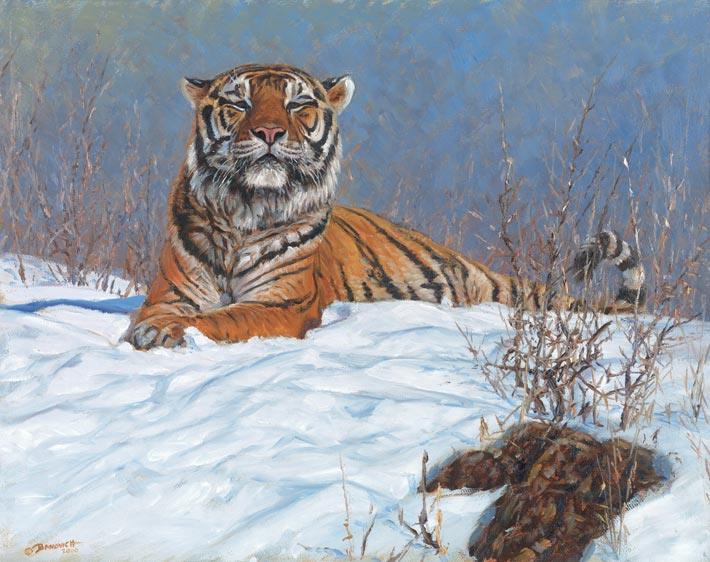 John Banovich: Tigers in the Snow Note Cards | Freedom Hunters