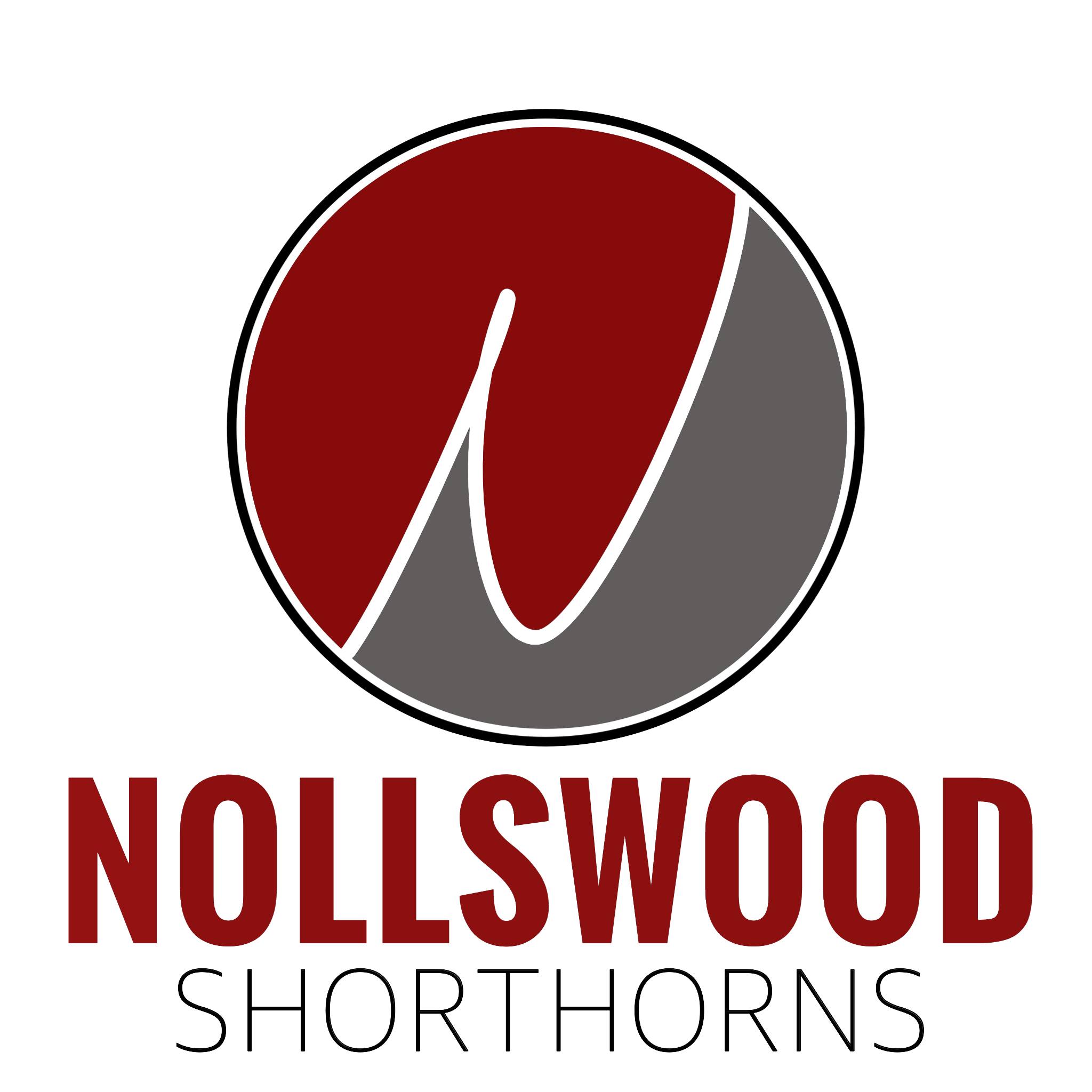 Nolls Shorthorn